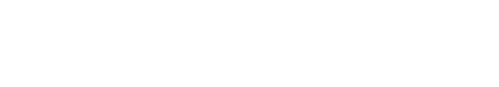 Slokker Homes — SOLAR CGI client